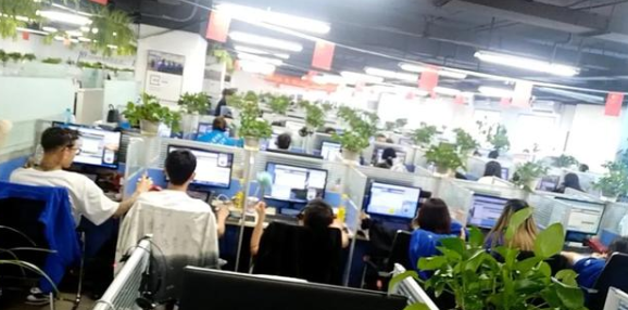 ”野呼”11万次,连哄带骗赚超亿插图2 777